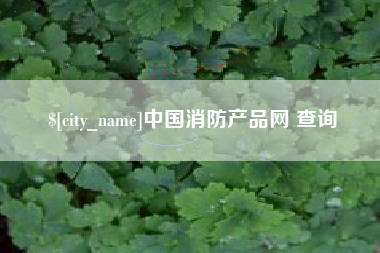 安顺中国消防产品网 查询