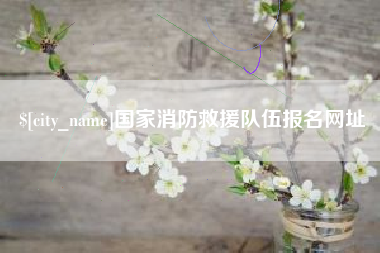安顺国家消防救援队伍报名网址