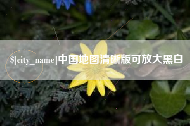安顺中国地图清晰版可放大黑白