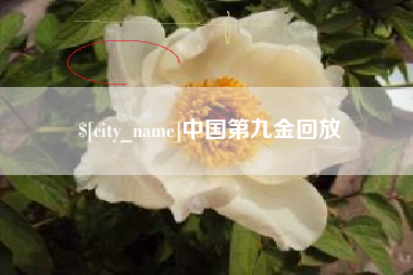 安顺中国第九金回放