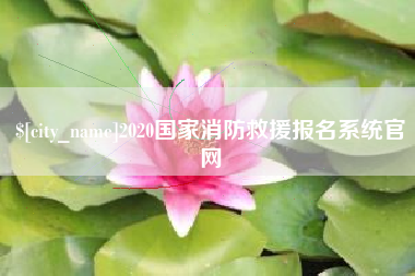 安顺2020国家消防救援报名系统官网
