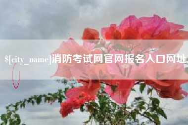 安顺消防考试网官网报名入口网址