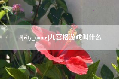 安顺九宫格游戏叫什么