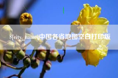 安顺中国各省地图空白打印版