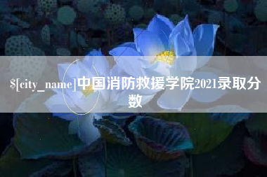 安顺中国消防救援学院2021录取分数