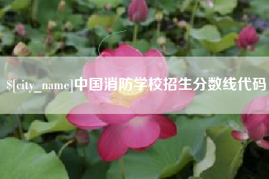 安顺中国消防学校招生分数线代码