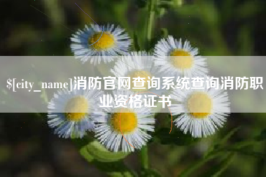 安顺消防官网查询系统查询消防职业资格证书