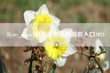 安顺中国消防官网报名入口2024