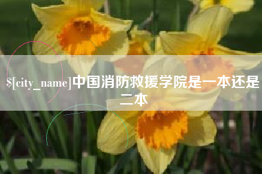 安顺中国消防救援学院是一本还是二本