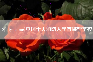 安顺中国十大消防大学有哪些学校