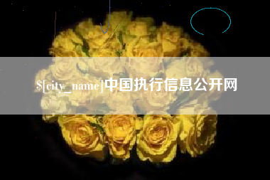 安顺中国执行信息公开网