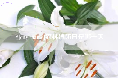 安顺森林消防日是哪一天