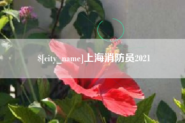 安顺上海消防员2021
