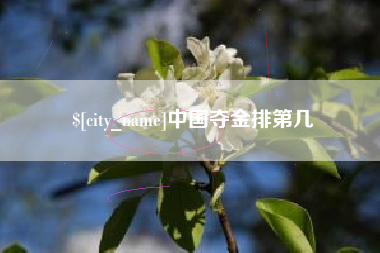 安顺中国夺金排第几