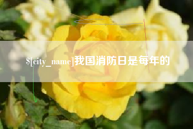安顺我国消防日是每年的