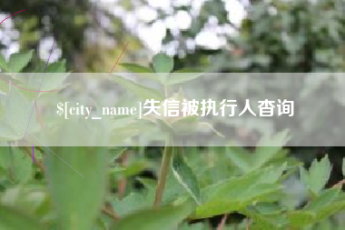 安顺失信被执行人杳询
