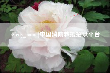 安顺中国消防救援招录平台