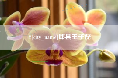 安顺邱县王子磊