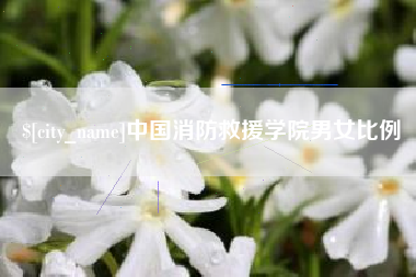 安顺中国消防救援学院男女比例