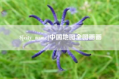 安顺中国地图全图画画