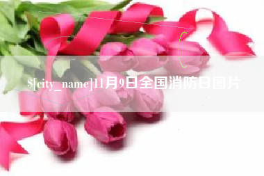 安顺11月9日全国消防日图片