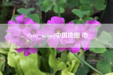 安顺中国地图 市