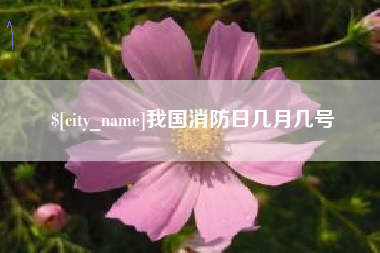 安顺我国消防日几月几号