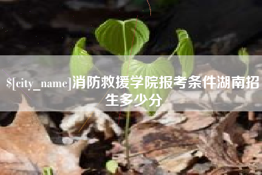 安顺消防救援学院报考条件湖南招生多少分