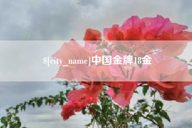 安顺中国金牌18金
