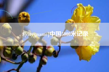 安顺中国5000米记录