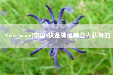 安顺中国6枚金牌是哪些人获得的