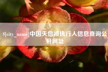 安顺中国失信被执行人信息查询公开网址