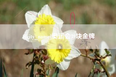 安顺奥运会39块金牌