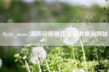 安顺消防设施操作员证书查询网址