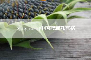 安顺中国冠军九宫格