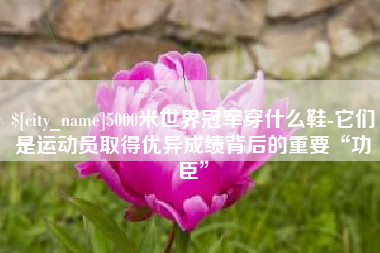 安顺5000米世界冠军穿什么鞋-它们是运动员取得优异成绩背后的重要“功臣”
