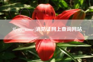安顺消防证网上查询网站