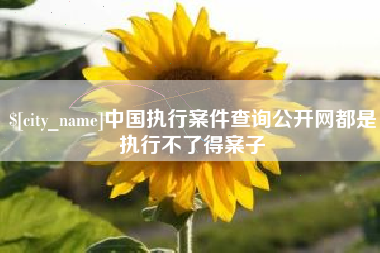 安顺中国执行案件查询公开网都是执行不了得案子