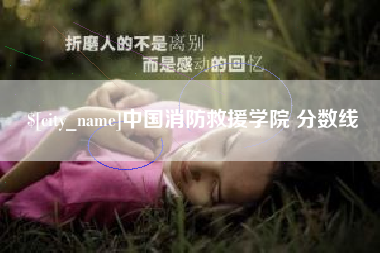 安顺中国消防救援学院 分数线