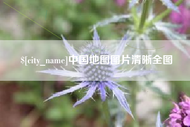 安顺中国地图图片清晰全图