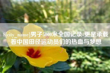 安顺男子5000米全国记录-更是承载着中国田径运动员们的热血与梦想