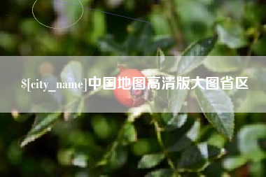 安顺中国地图高清版大图省区