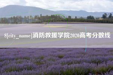 安顺消防救援学院2020高考分数线