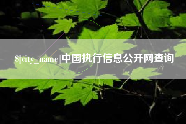 安顺中国执行信息公开网查询