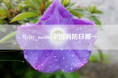 安顺全国消防日哪一