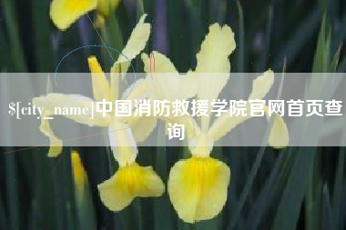 安顺中国消防救援学院官网首页查询