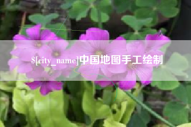 安顺中国地图手工绘制
