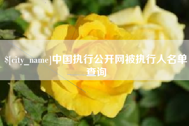 安顺中国执行公开网被执行人名单查询