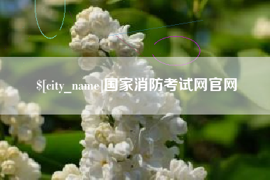 安顺国家消防考试网官网