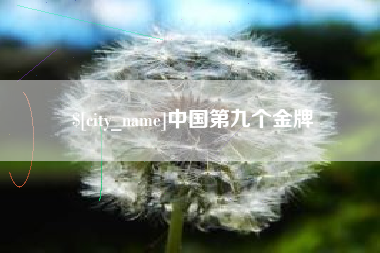 安顺中国第九个金牌